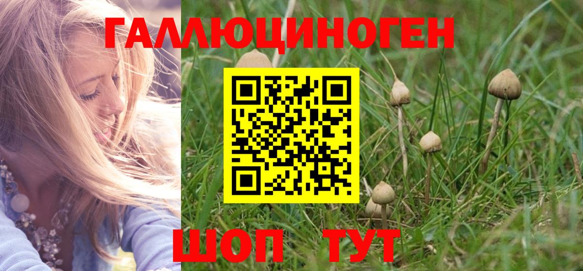Гашиш  Вход с VPN  Губкинский  Cocaine  Мефедрон кристаллы  МАРИХУАНА  Альфа ПВП СК кристаллы  МДМА 